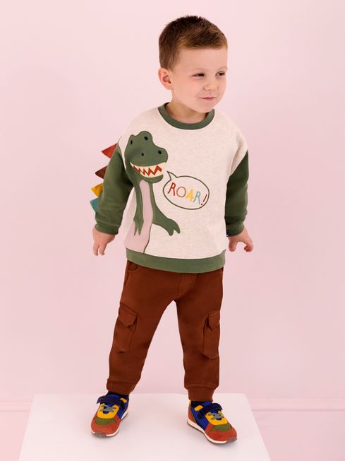 Dinosaur Applique Novelty Sweatshirt